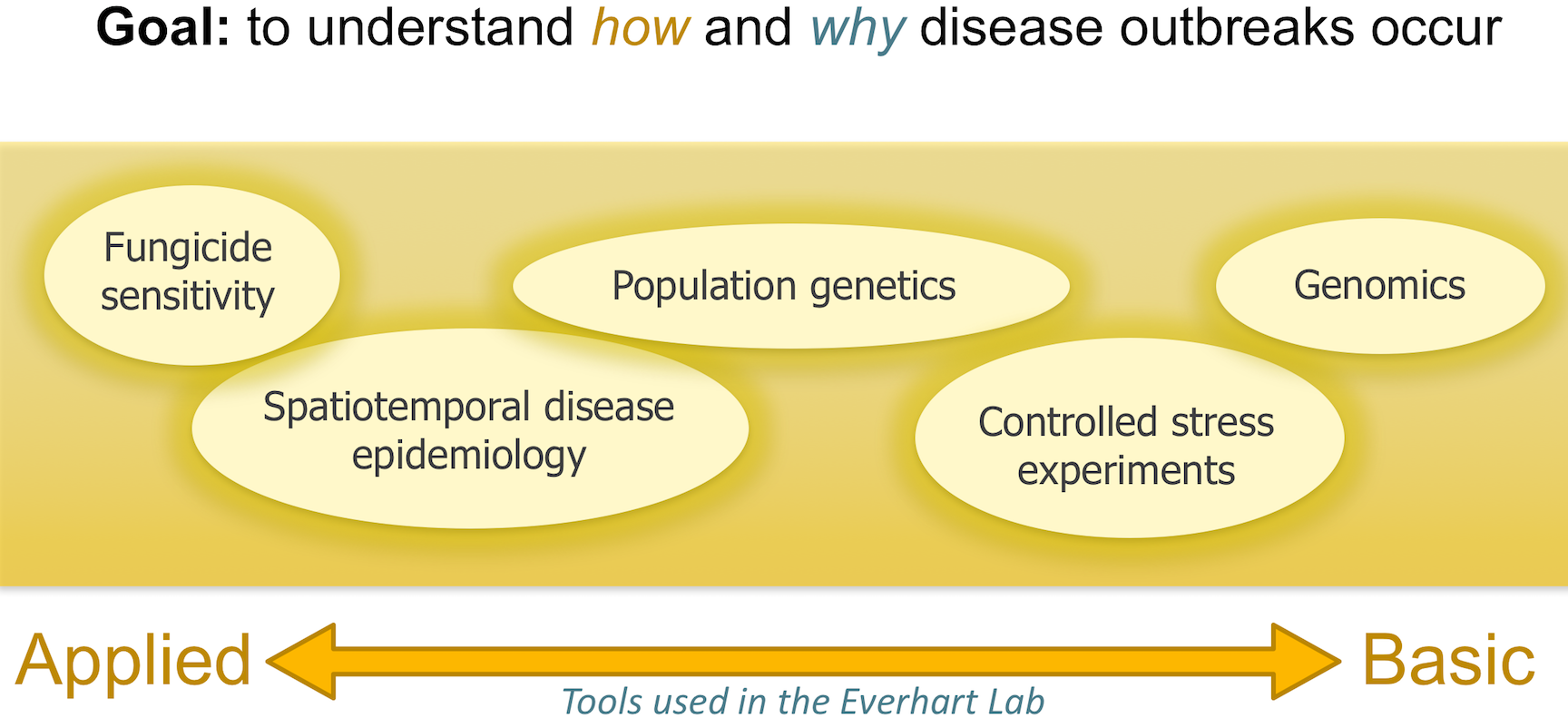 graph representing different factors to evaluate the likelihood of a disease to spread