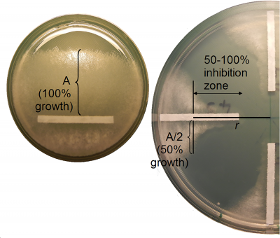 Image depicting experiment measurements